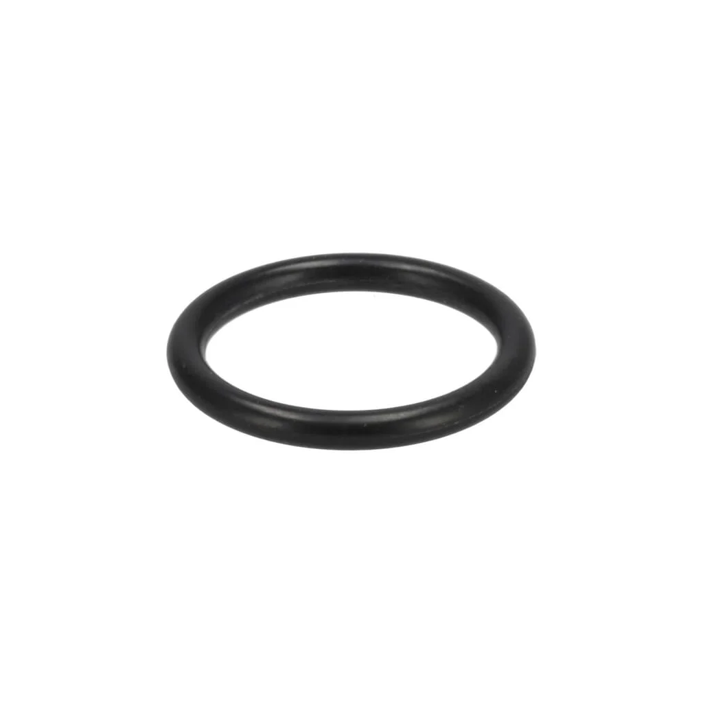 [AMAT2-33951] O-ring 01321580