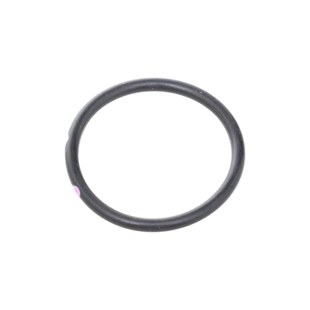 [AMAT2-34277] O-ring 0289661018