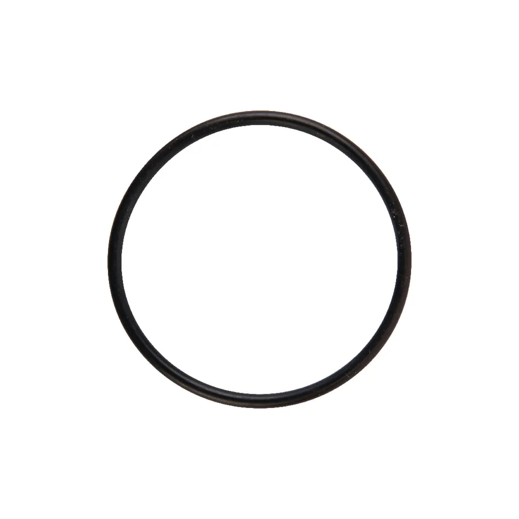 Inel O 02200087