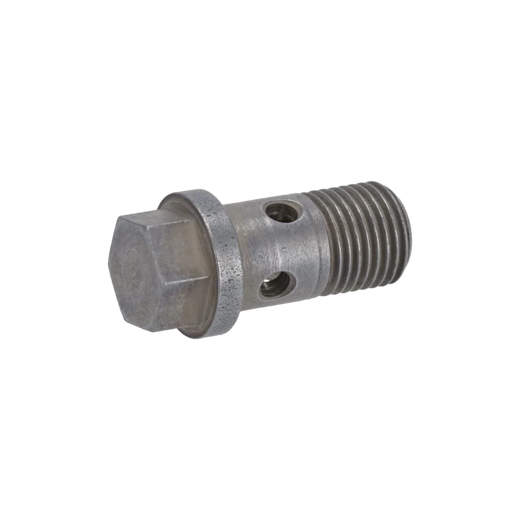 [AMAT2-34864] Șurub cu interior gol 02231136