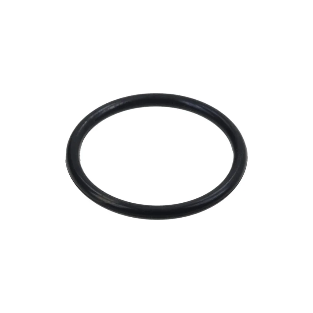 [AMAT2-34924] O-ring 0289621018