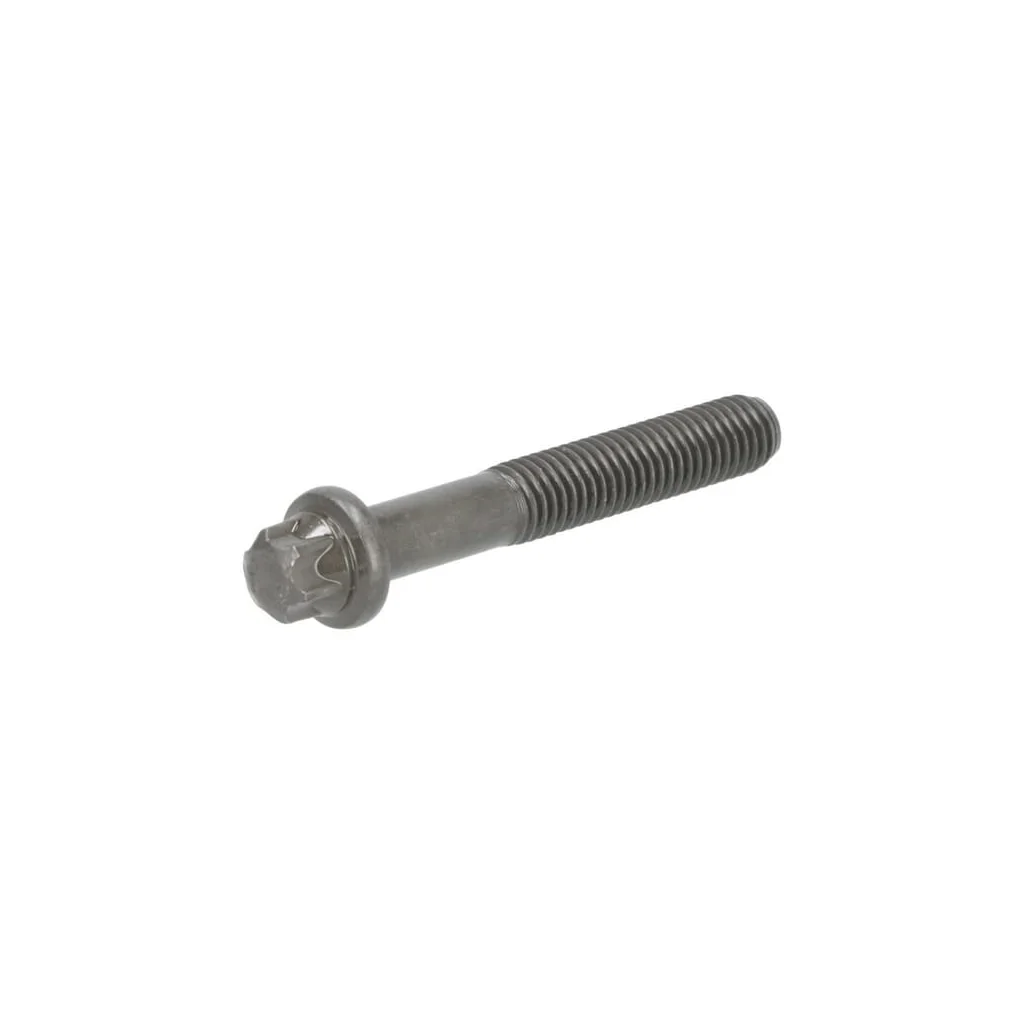 [AMAT2-36099] Șurub Torx 04291334