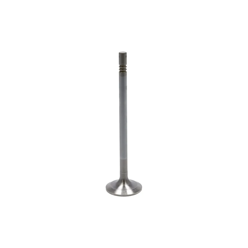[AMAT2-36328] Supapă de admisie 04903005