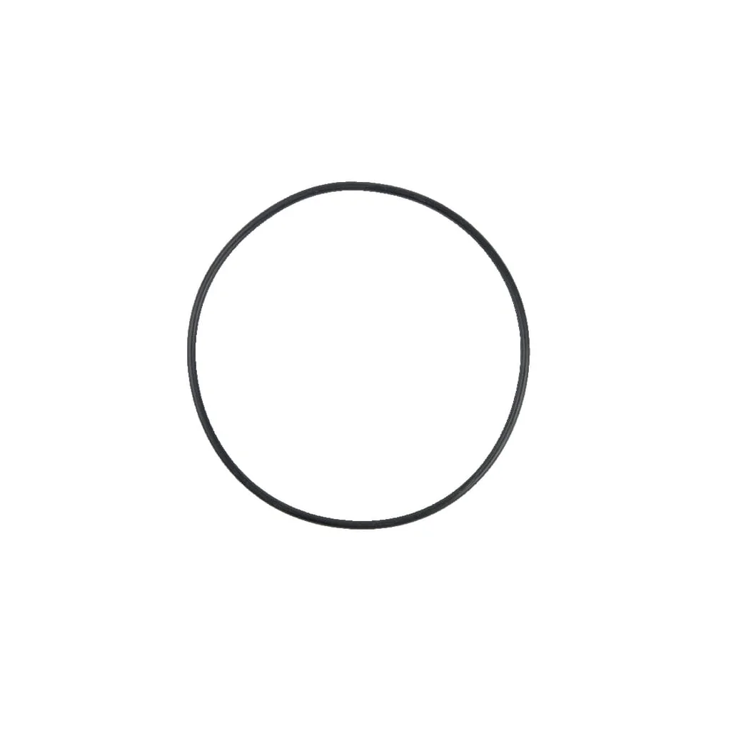 [AMAT2-36420] O-ring 04450759