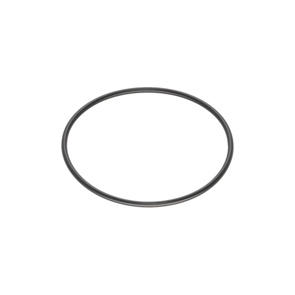 [AMAT2-36909] O-ring 0481150850