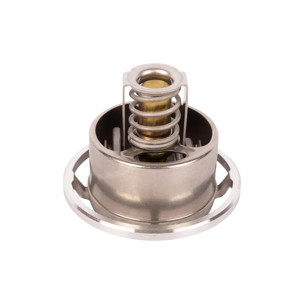 [AMAT2-37445] Termostat 04911831