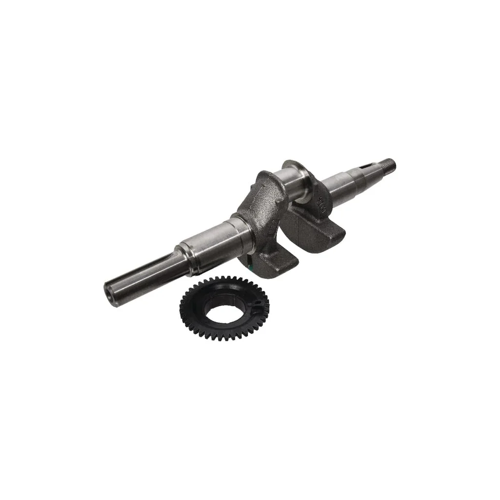 [AMAT2-38384] Kit arbore cotit 06131Z8AW00