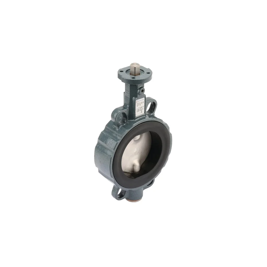 [AMAT2-39072] Clapetă cu flanșă DN 100 0628085