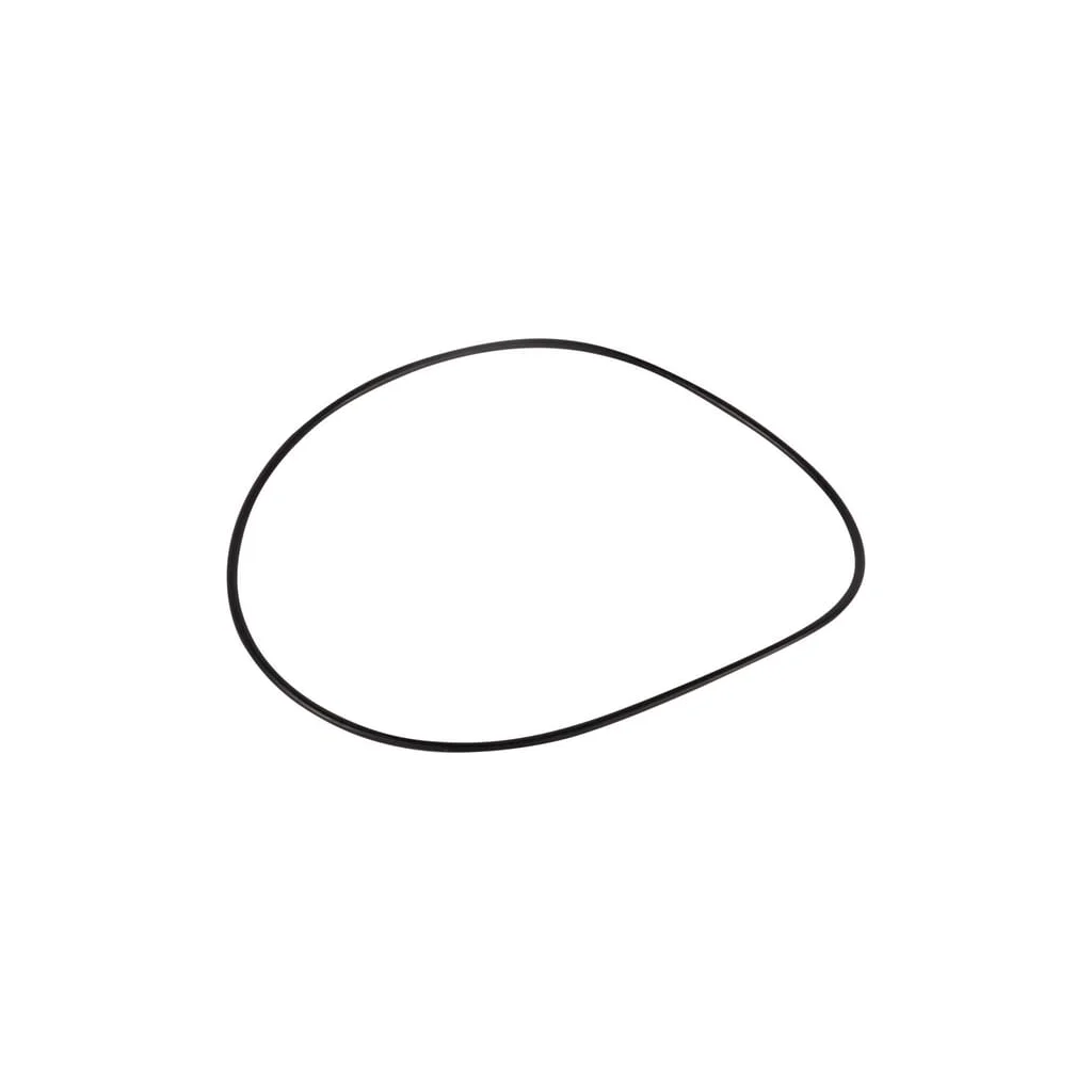 [AMAT2-39106] O-ring 171,04x3,53mm 06230165