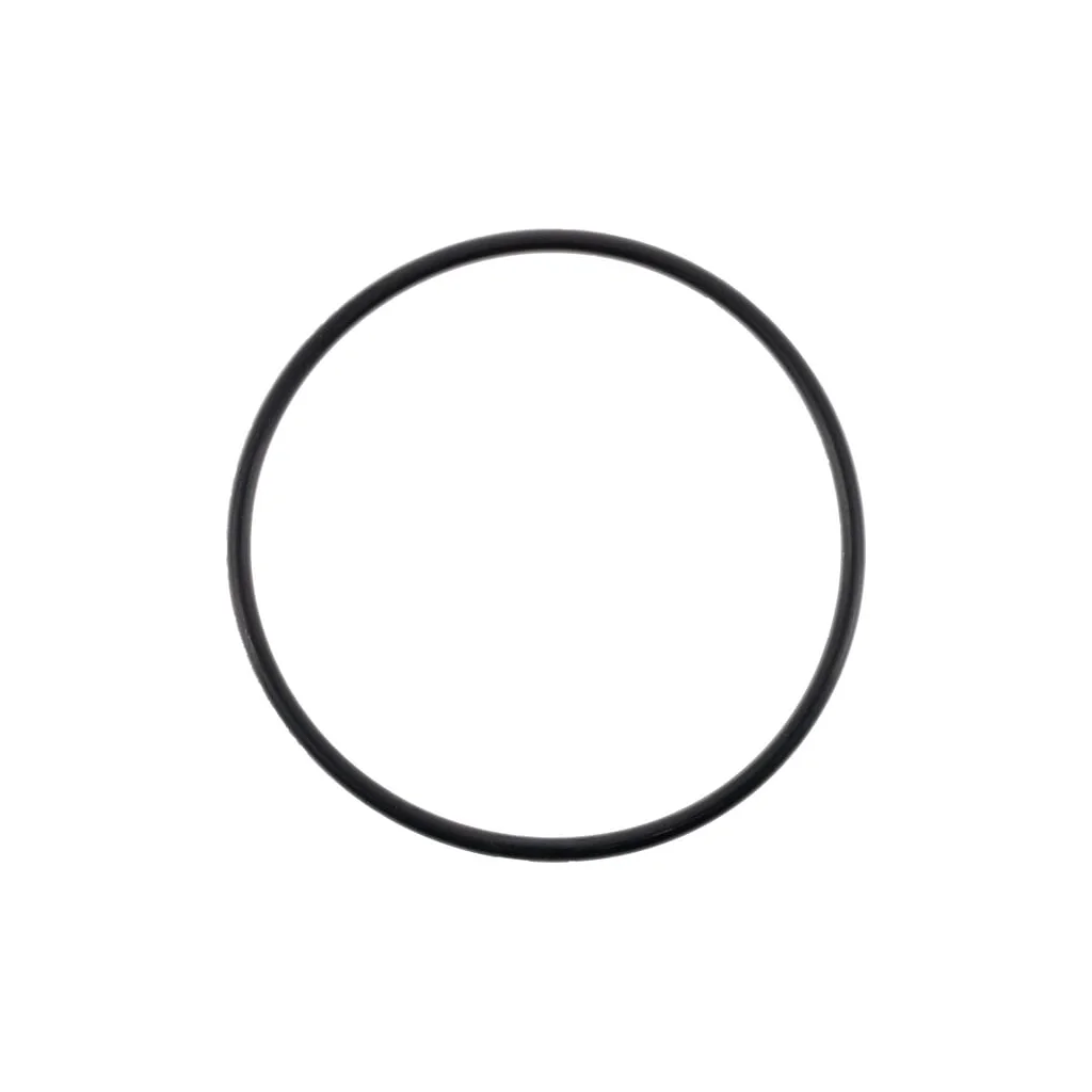 [AMAT2-39697] O-ring 0700012075