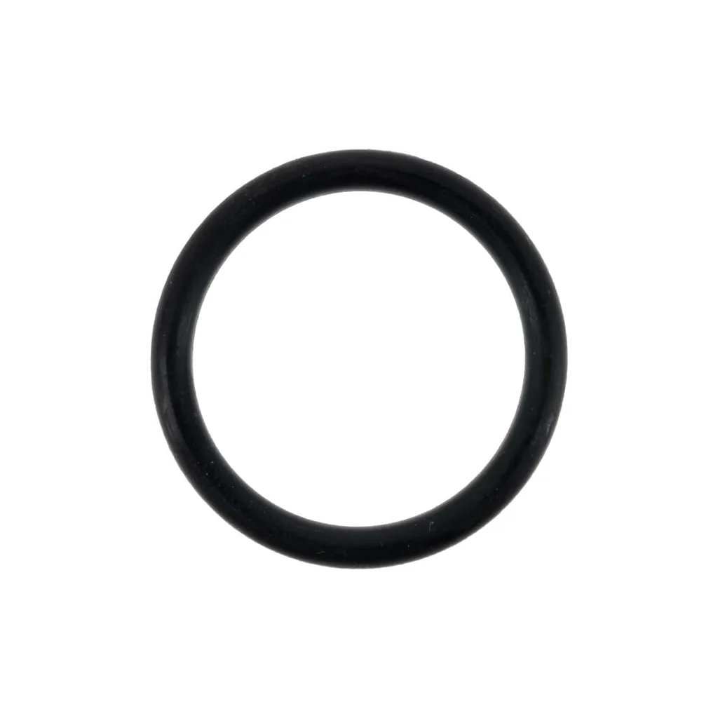 [AMAT2-39723] O-ring 0700013028