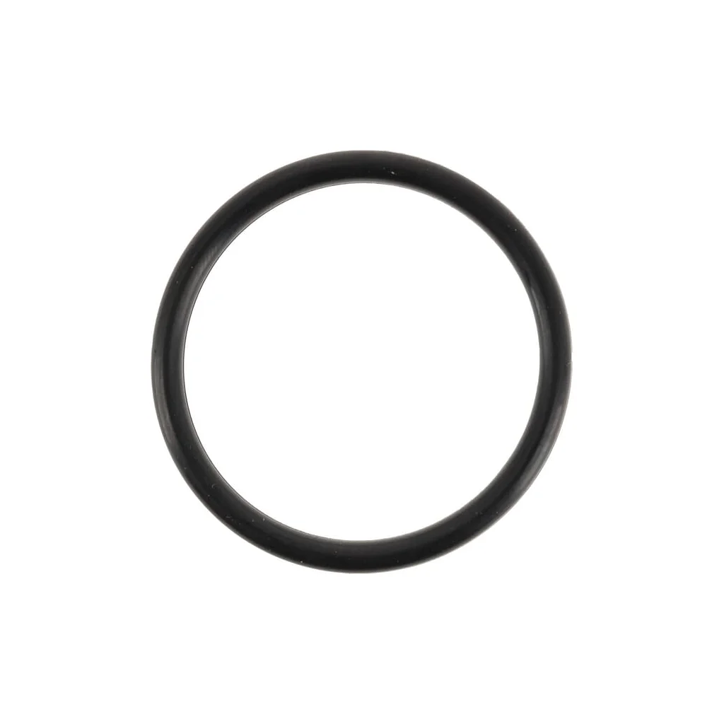 [AMAT2-40136] O-ring 0700013038
