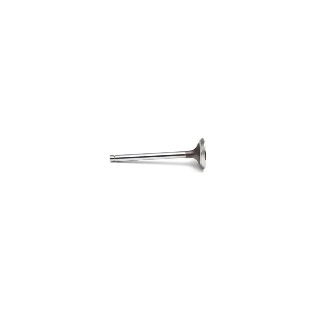 [AMAT2-41070] Supapă de evacuare 0910061