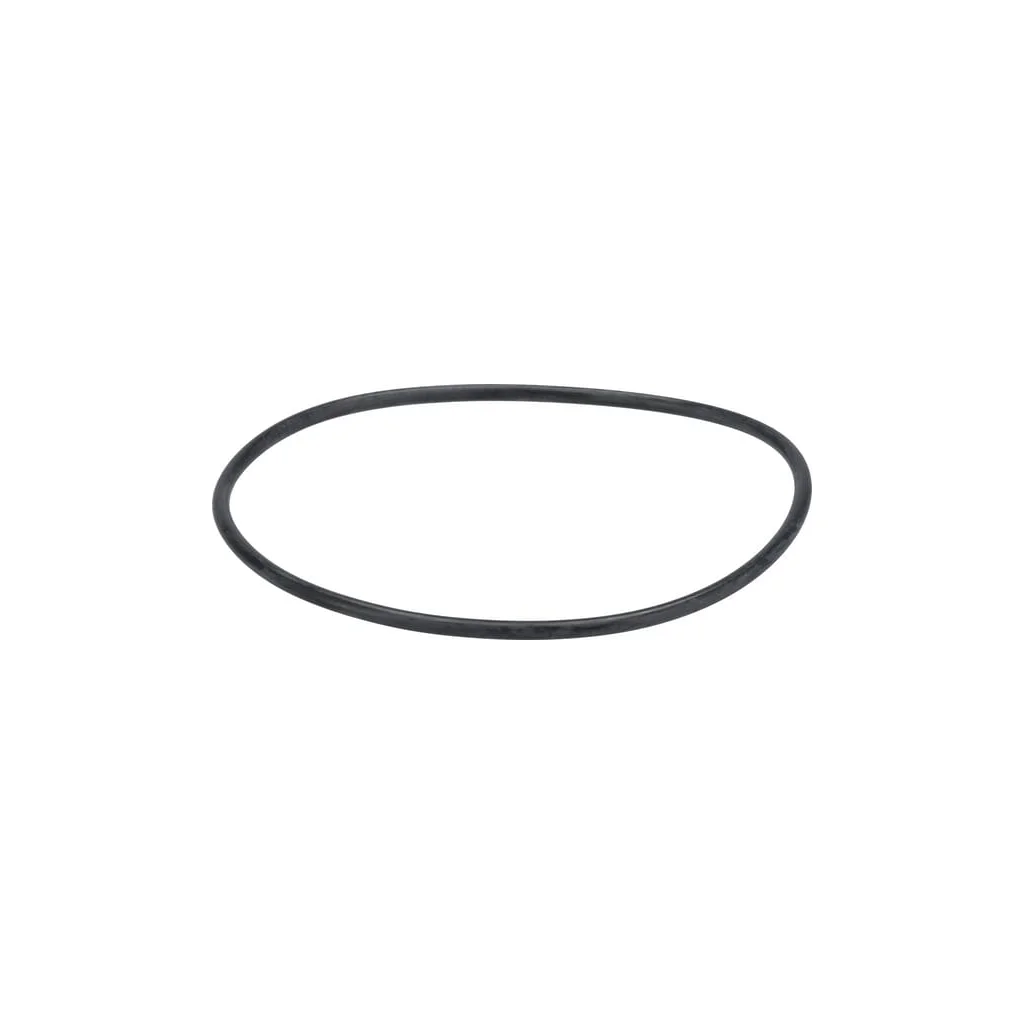 [AMAT2-41251] Garnitură de termostat 1000182321