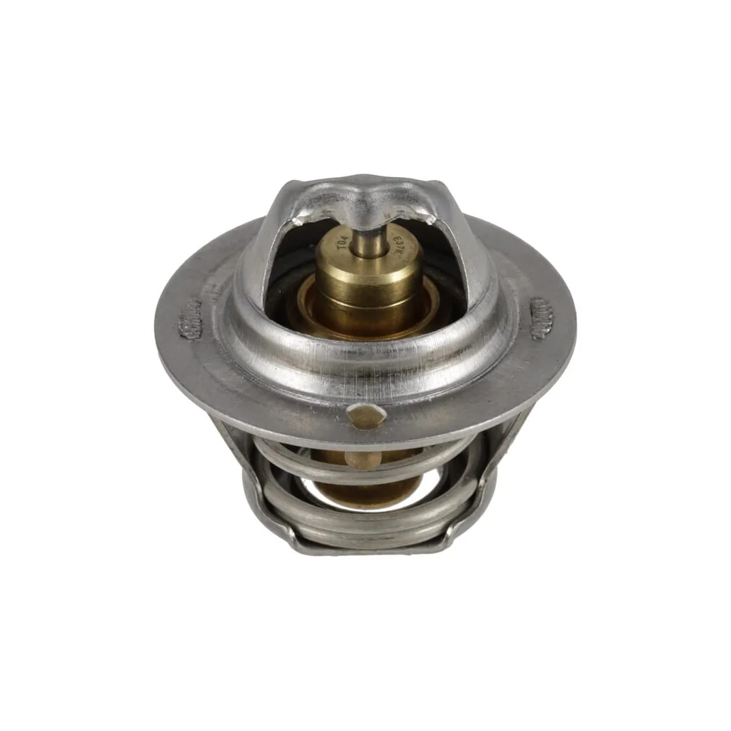 [AMAT2-41324] Termostat 1000199605