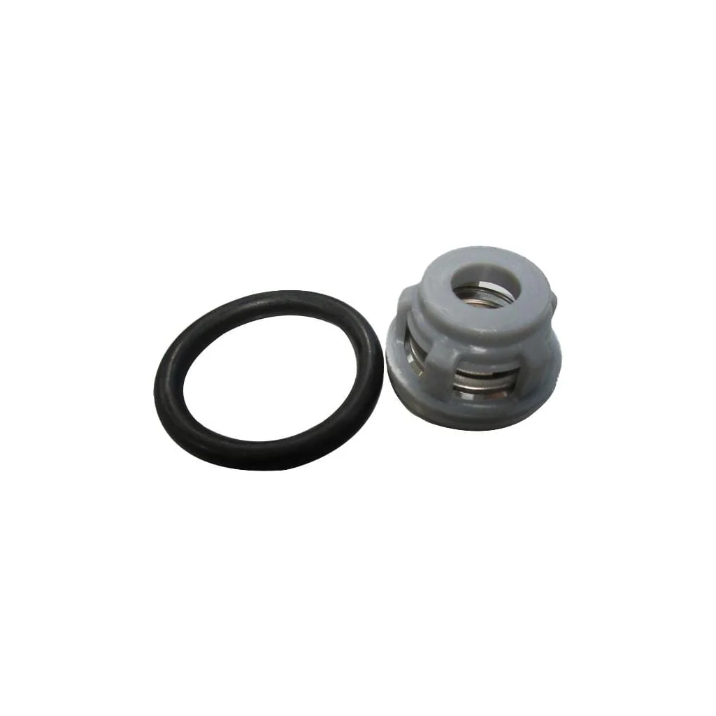 [AMAT2-41719] Ansamblu valvă complet 1000216538R