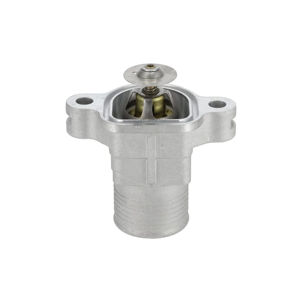[AMAT2-42029] Termostat 1000256908