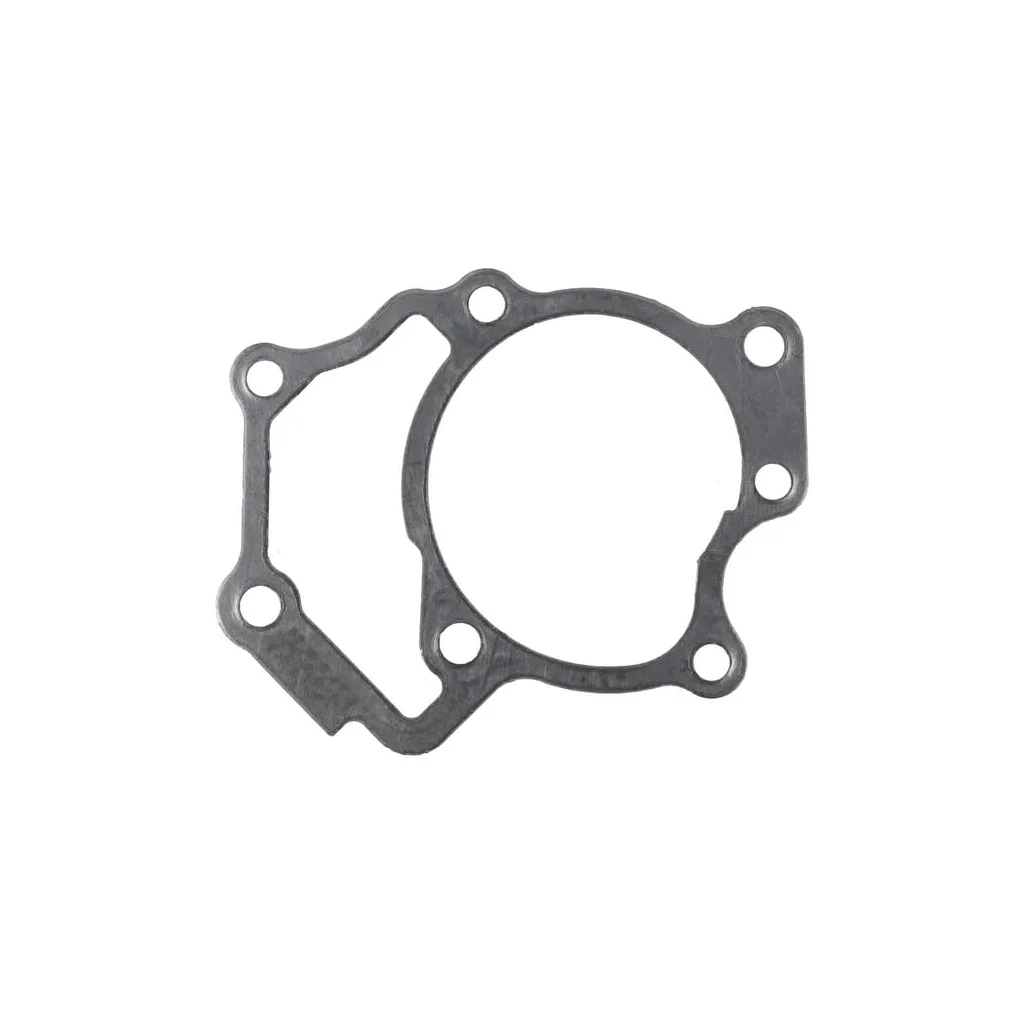 [AMAT2-42527] Garnitură pompă de apă 1000148814