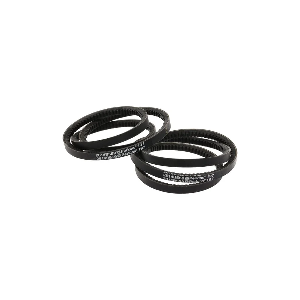 [AMAT2-42811] Curea trapezoidală 1000000388