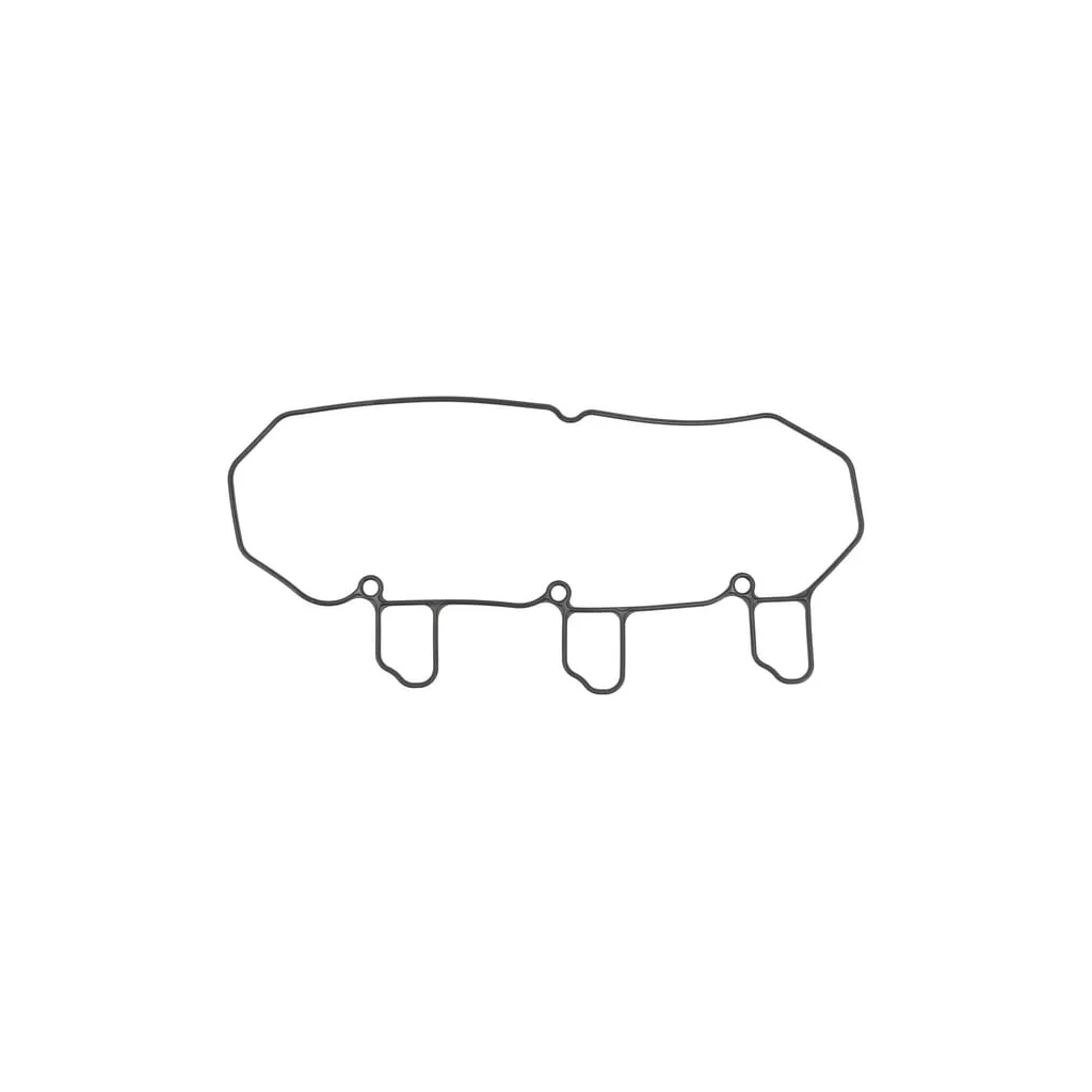 [AMAT2-42897] Garnitură capac supapă 1000148554