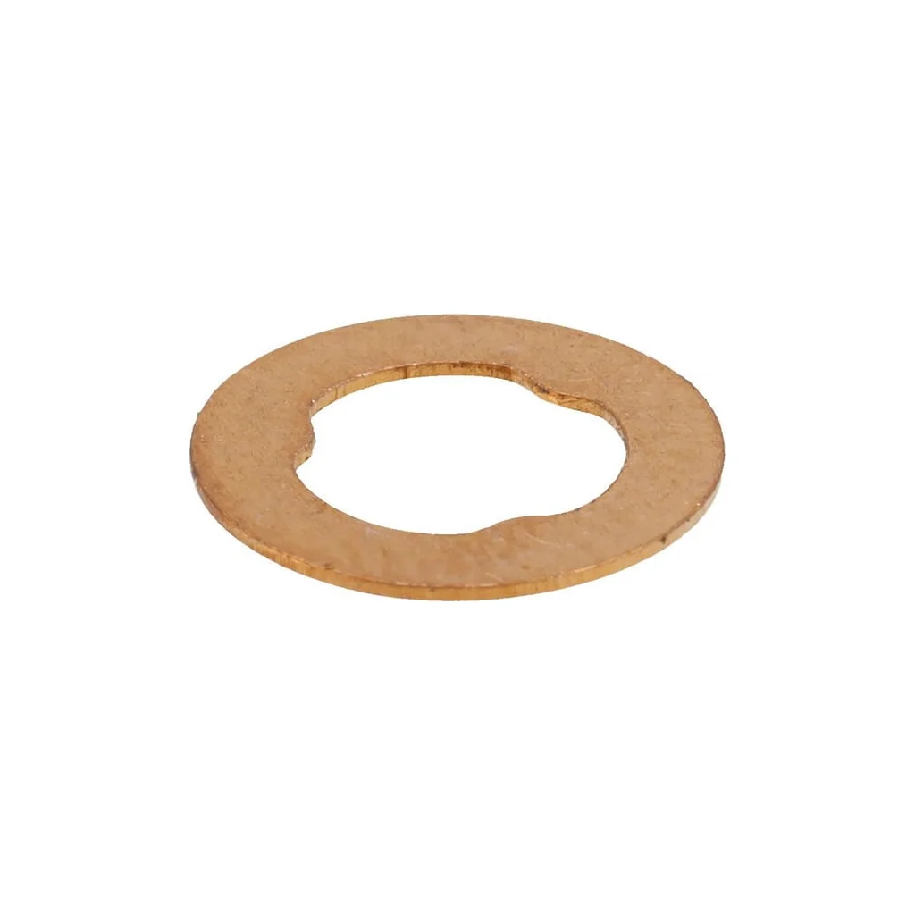 [AMAT2-42955] Sigiliu duză 1000131105
