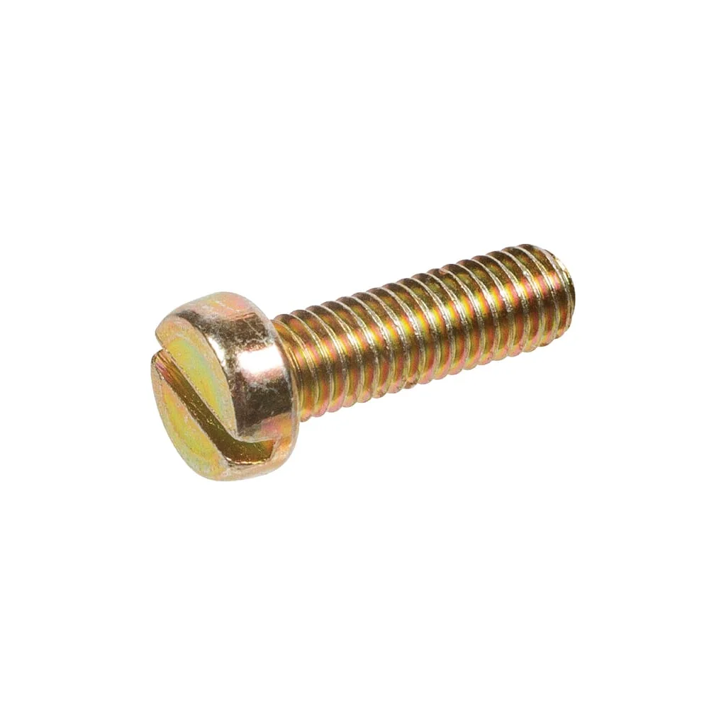 Șurub 10024