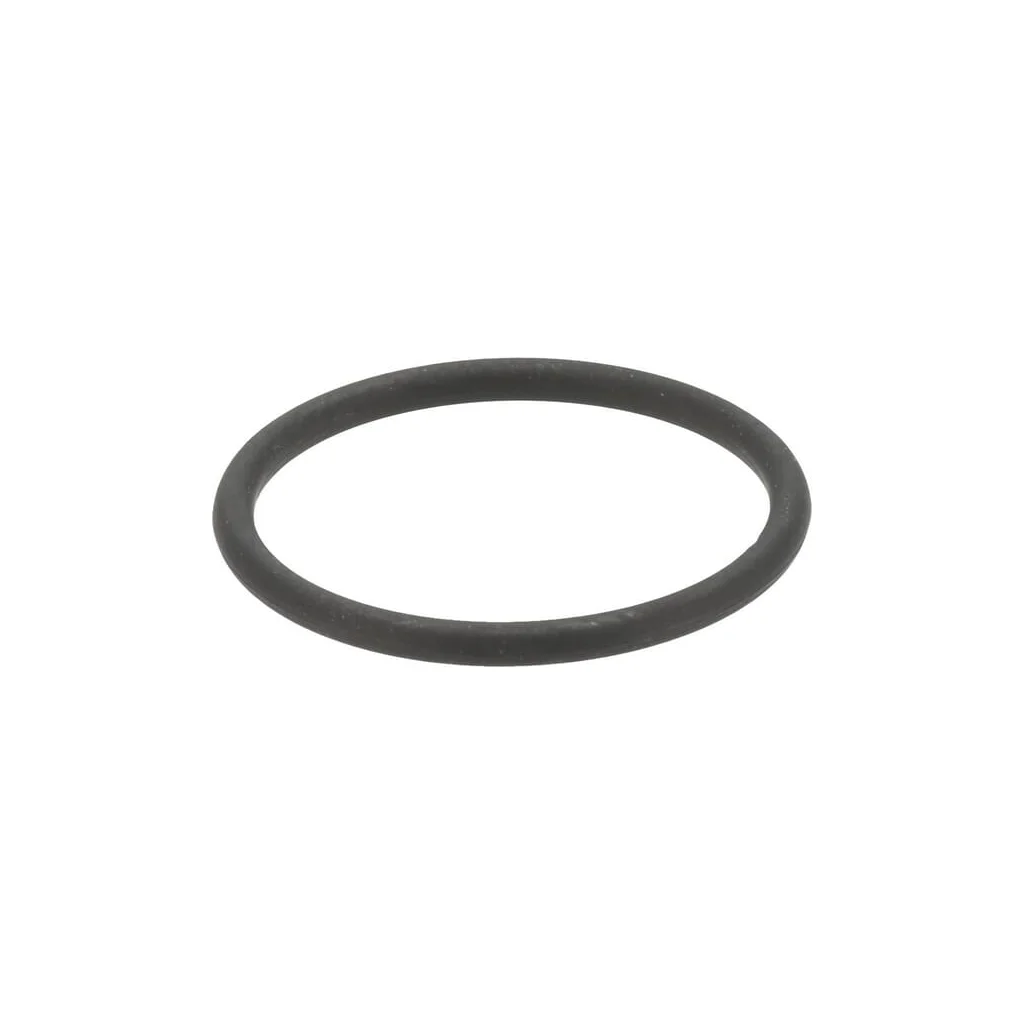 [AMAT2-43646] Sigiliu duză 1000485030