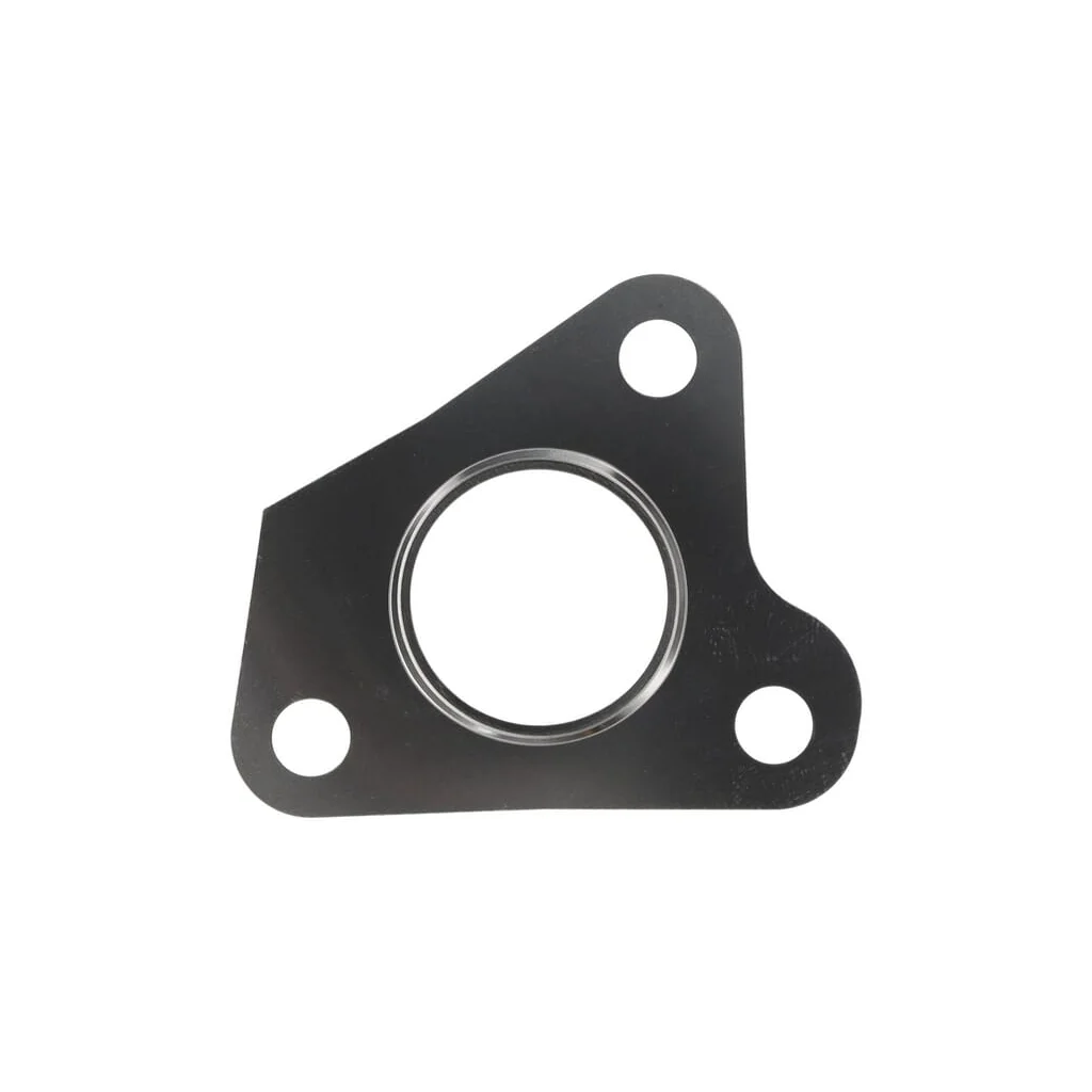 [AMAT2-43789] Garnitură turbocompresor 1000389165