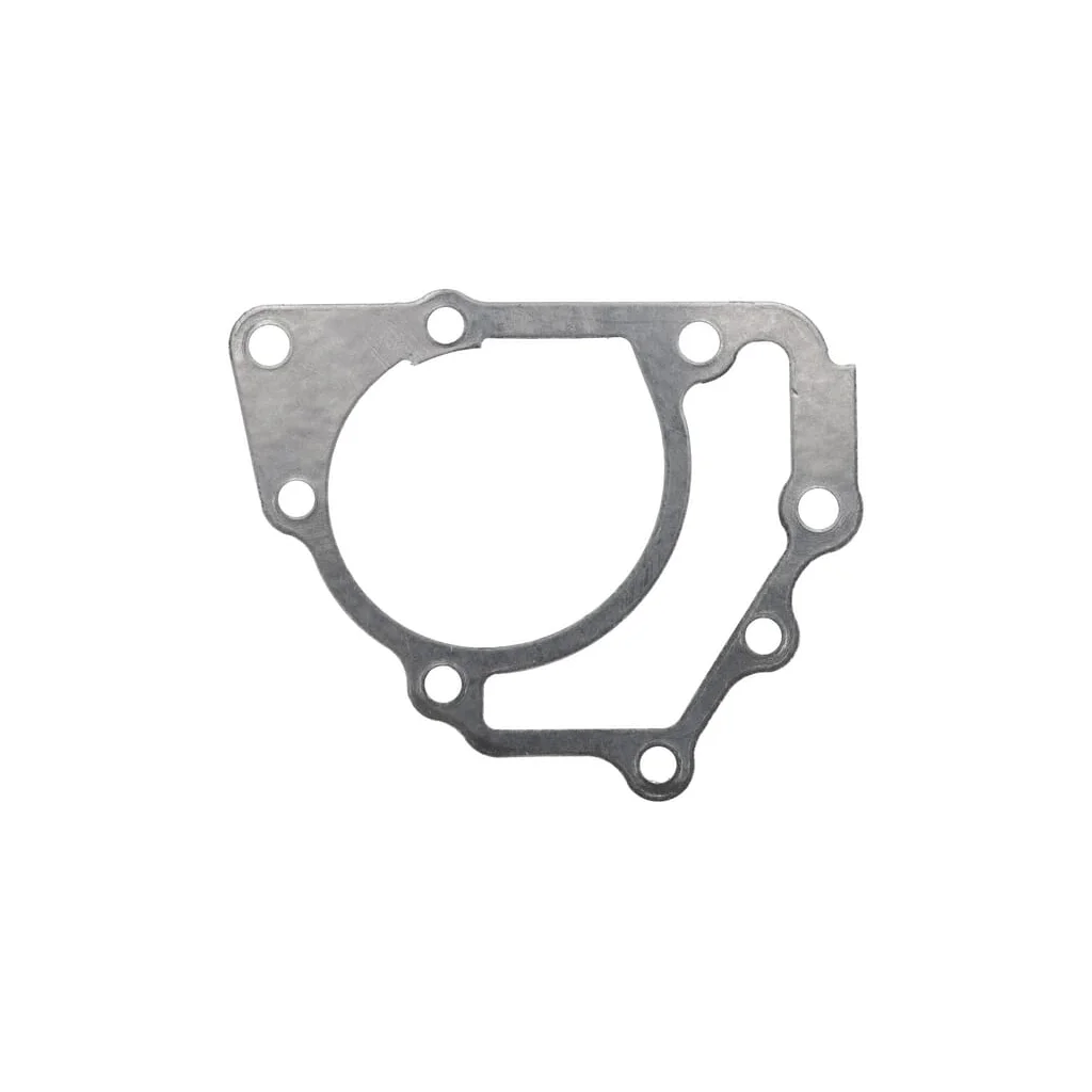 [AMAT2-43791] Garnitură pompă de apă 1000464337