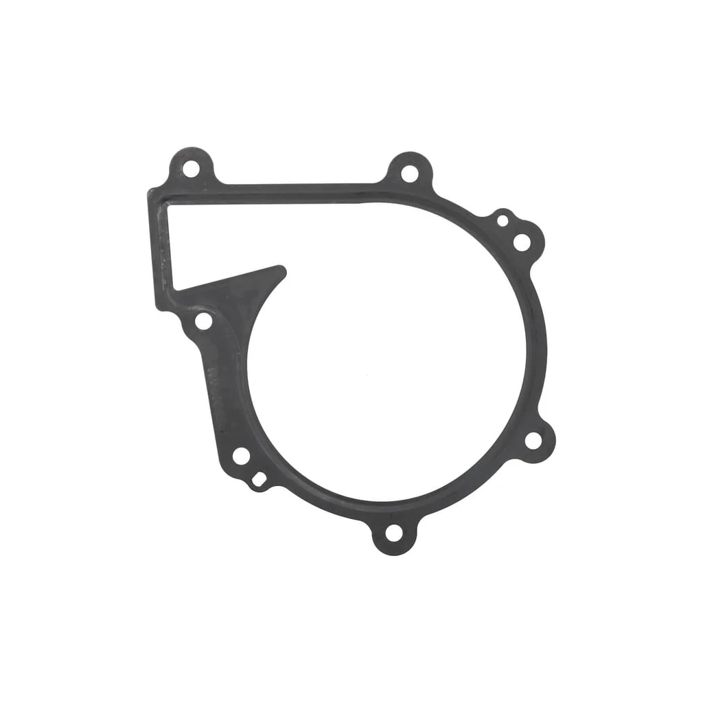 [AMAT2-43810] Garnitură pompă de apă 1000448011