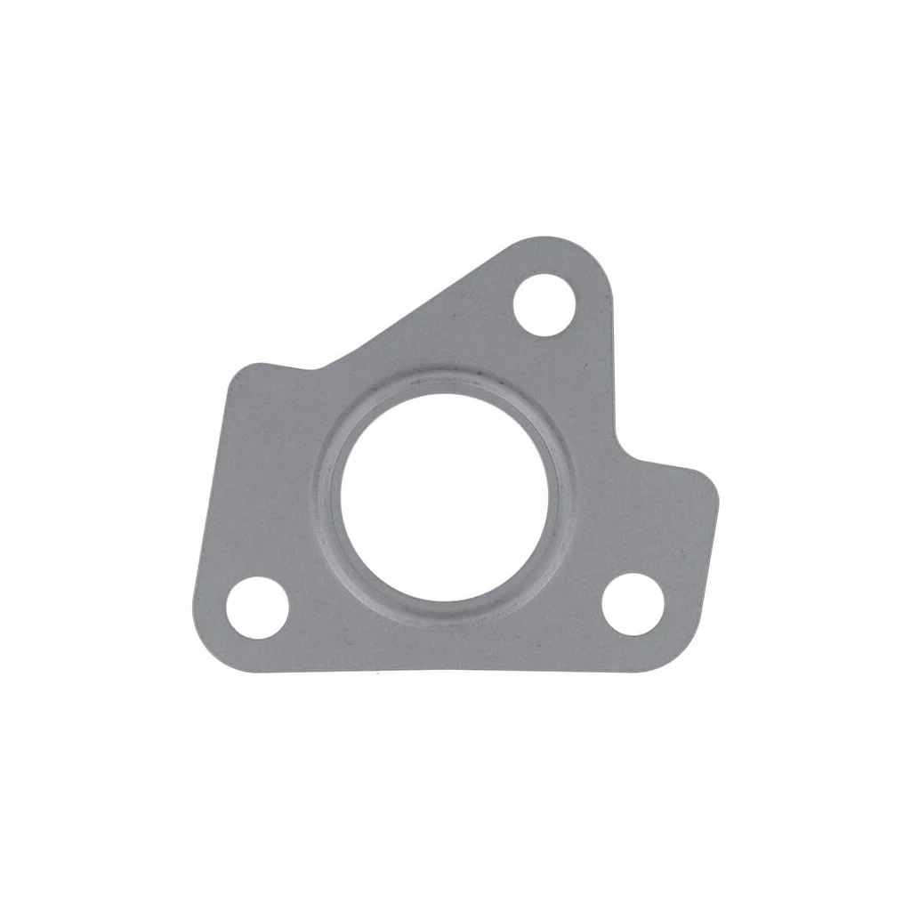 [AMAT2-43918] Garnitură turbocompresor 1000455628