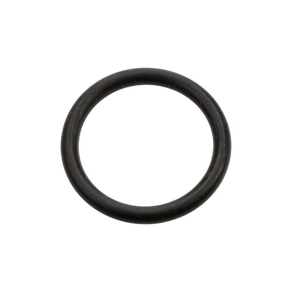 [AMAT2-44648] Inel de cauciuc 10219044N