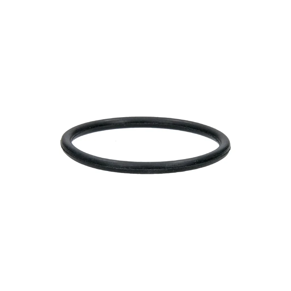 [AMAT2-45259] O-ring 10686SL