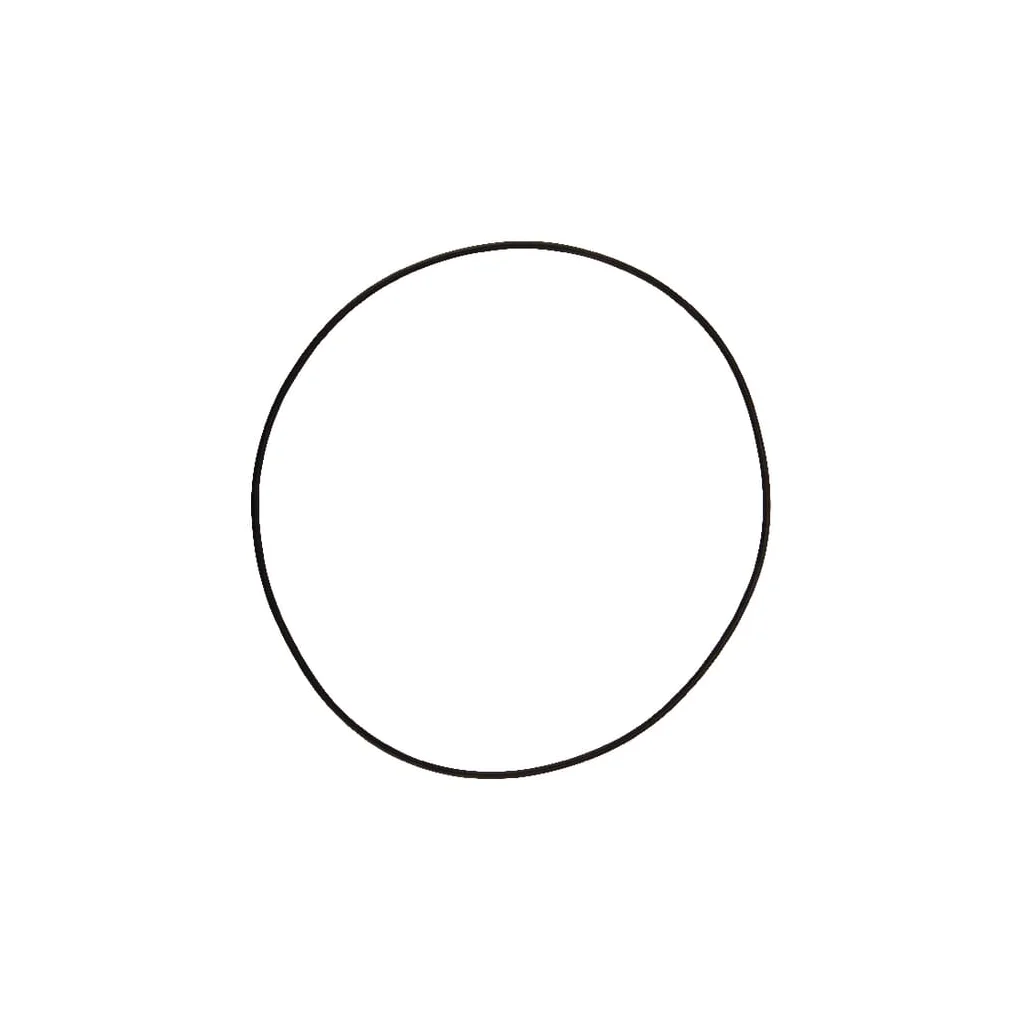 [AMAT2-58933] O-ring 164,77x2,62mm 70 shore negru Comet 12100355