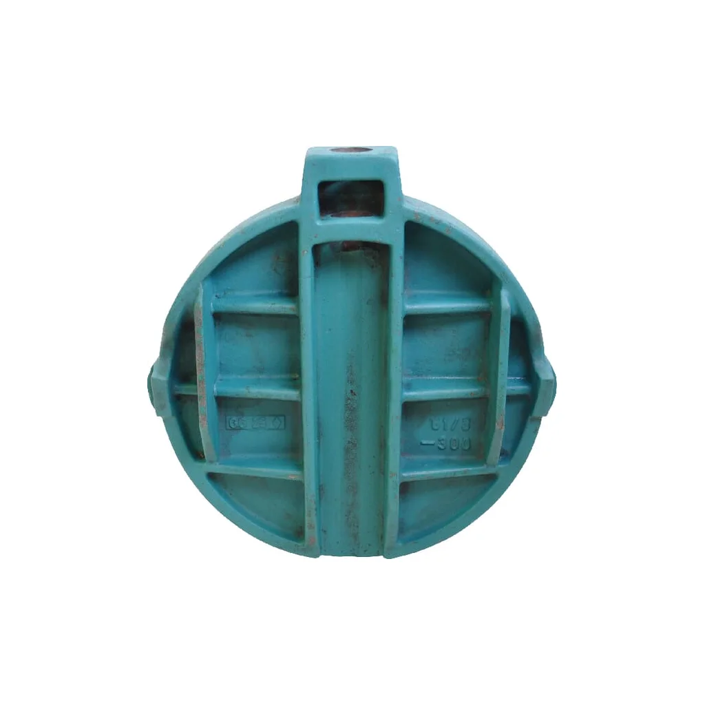 [AMAT2-59138] Placă pentru supapa cu poartă 12" 1218087