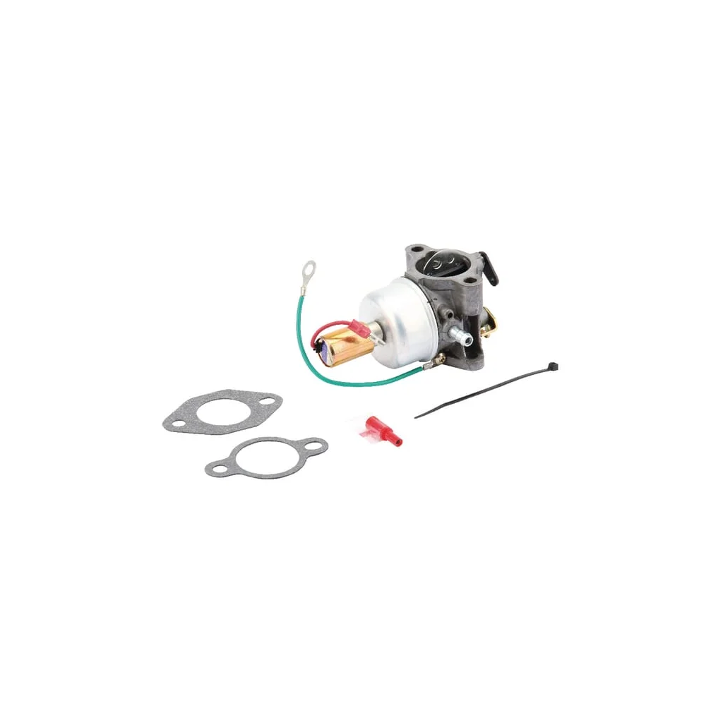 [AMAT2-59897] Carburator cu garnituri 12853118S
