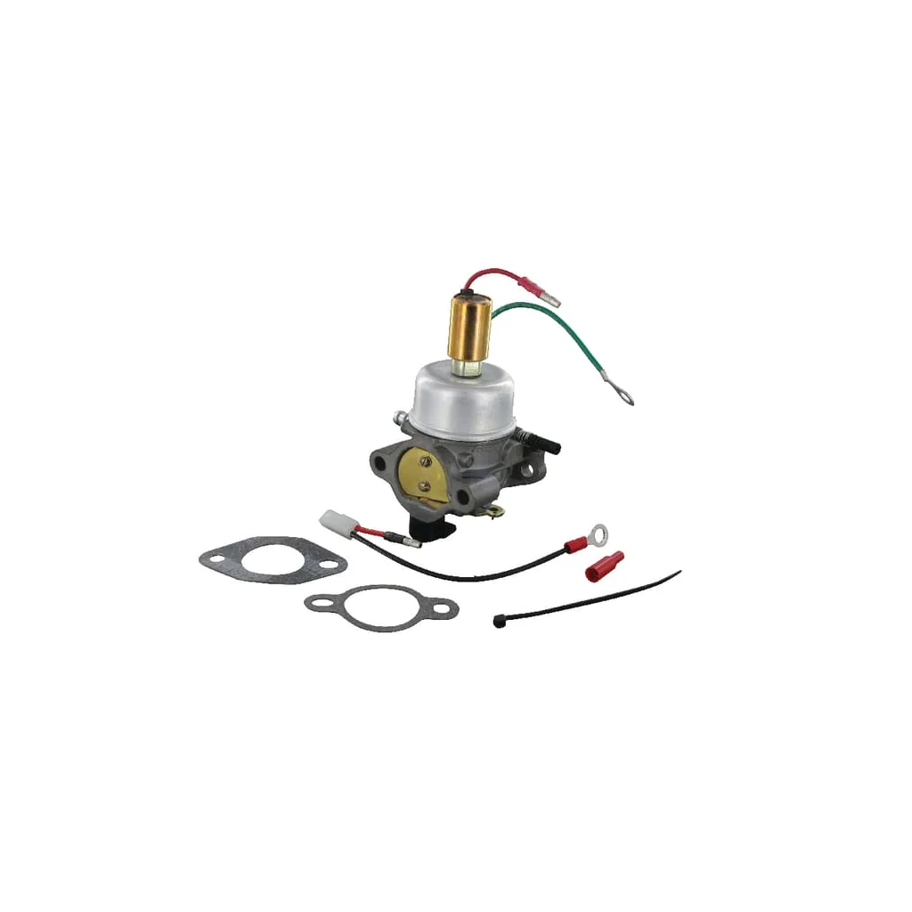 [AMAT2-59975] Carburator cu garnituri 1285393S