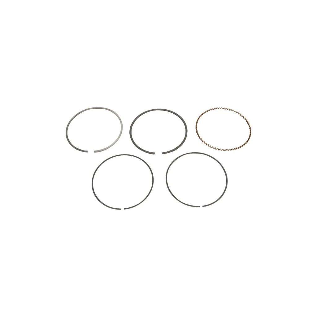[AMAT2-61722] Set inel piston (Riken) 13010Z4P003
