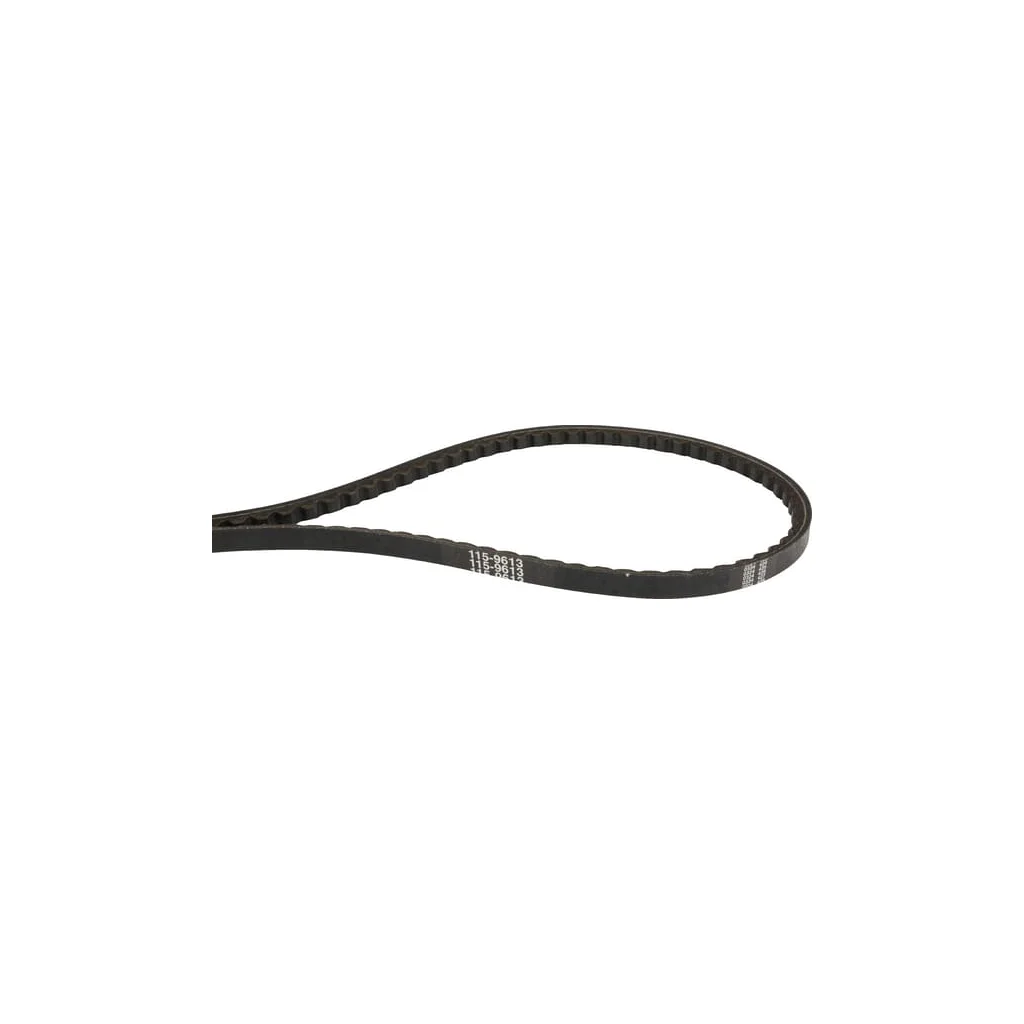 [AMAT2-52582] Curea Toro 1159613
