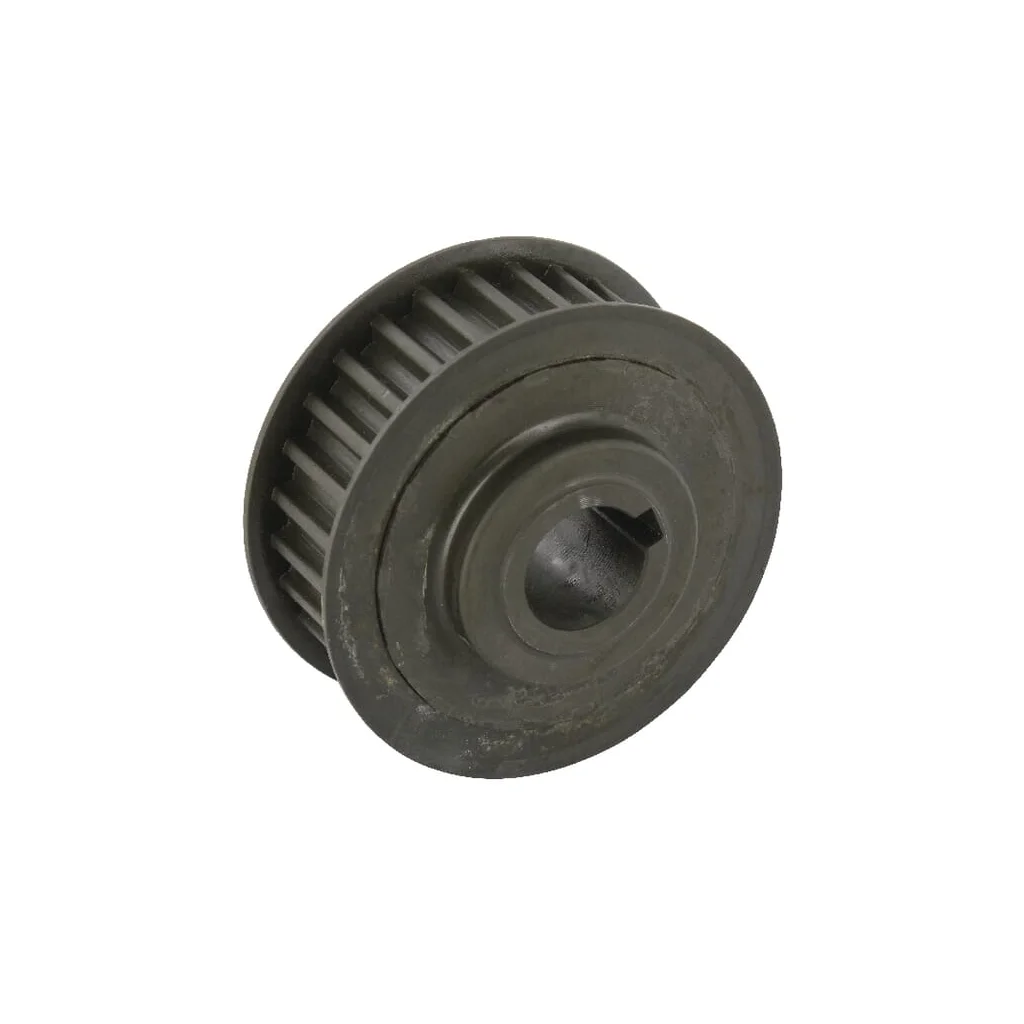 [AMAT2-60719] Fulie dințată 1256015600
