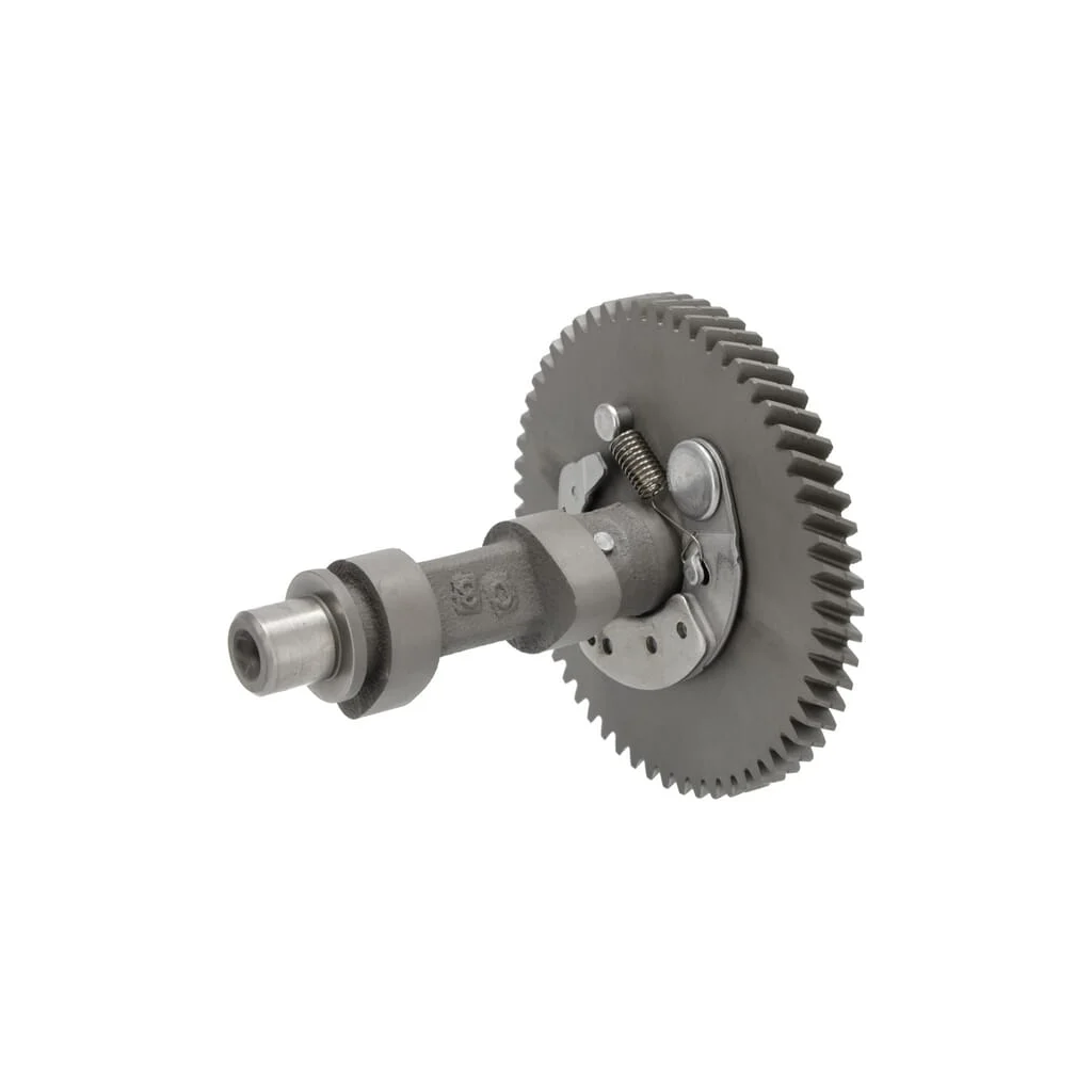 [AMAT2-65483] Ansamblu ax cu came 14100ZF5L03