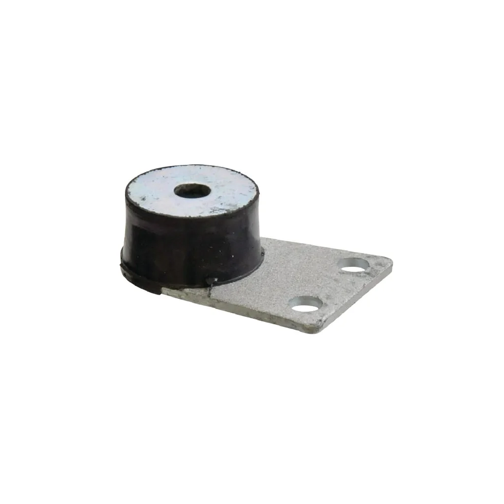 [AMAT2-49823] Amortizor de vibrații 11137909901GP
