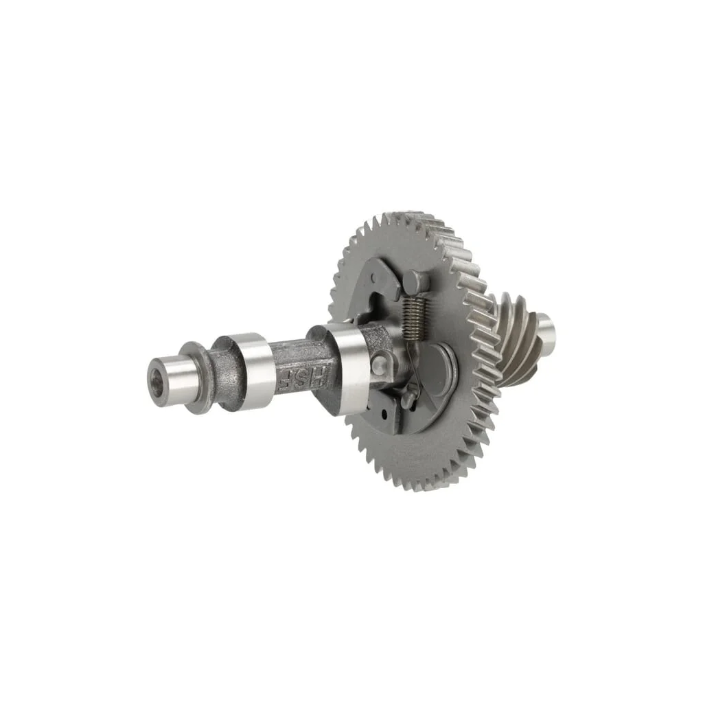 [AMAT2-65988] Ansamblu ax cu came 14100ZE7770