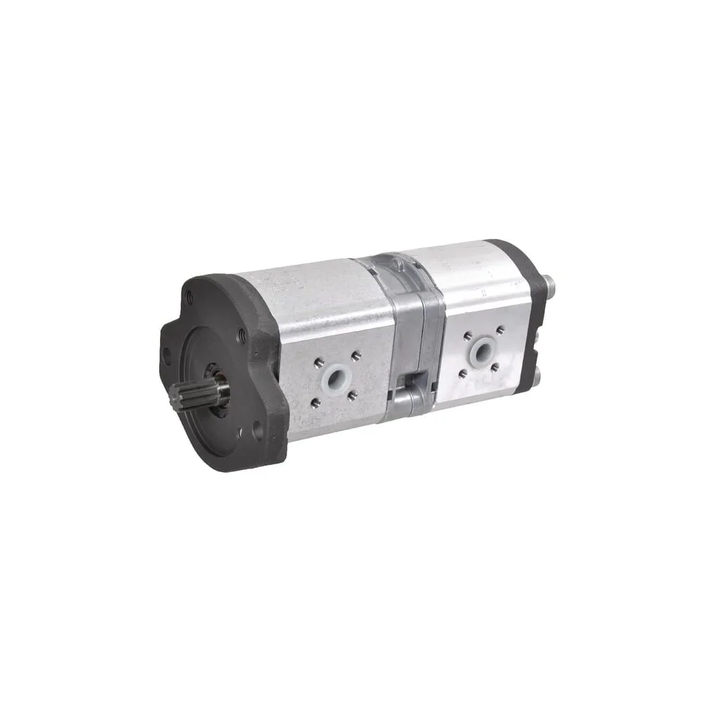 [AMAT2-63042] Pompă hidraulică dublă 132375101
