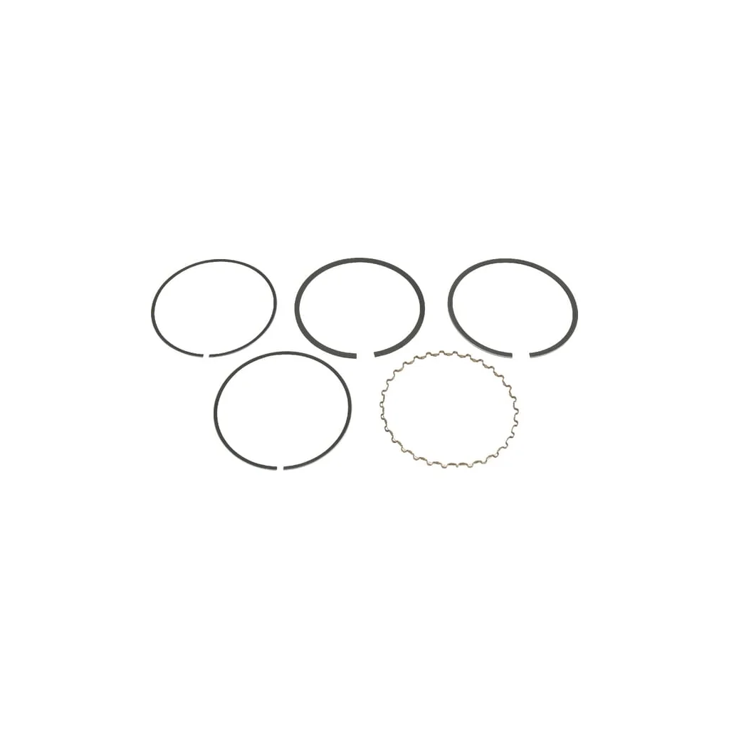 [AMAT2-61362] Segmenți piston 130086025