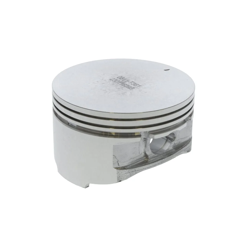 [AMAT2-61379] Piston 1300303110001
