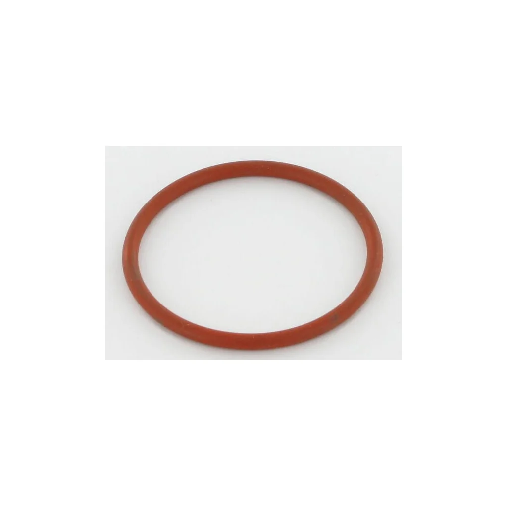 [AMAT2-56296] Inel O 1200287