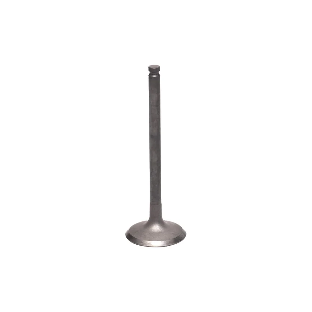 [AMAT2-56305] Supapă de admisie 120040740