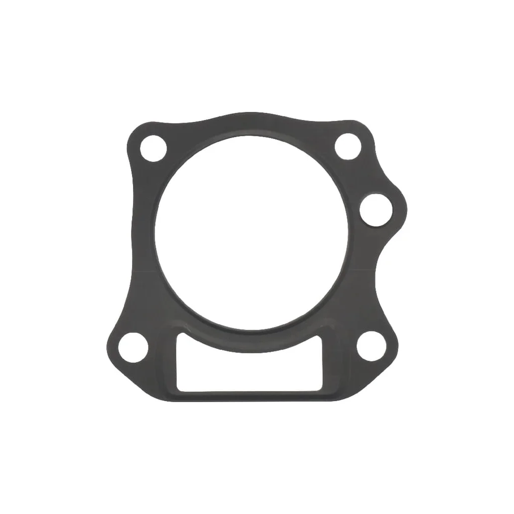 [AMAT2-48010] Garnitură chiuloasă 110042112