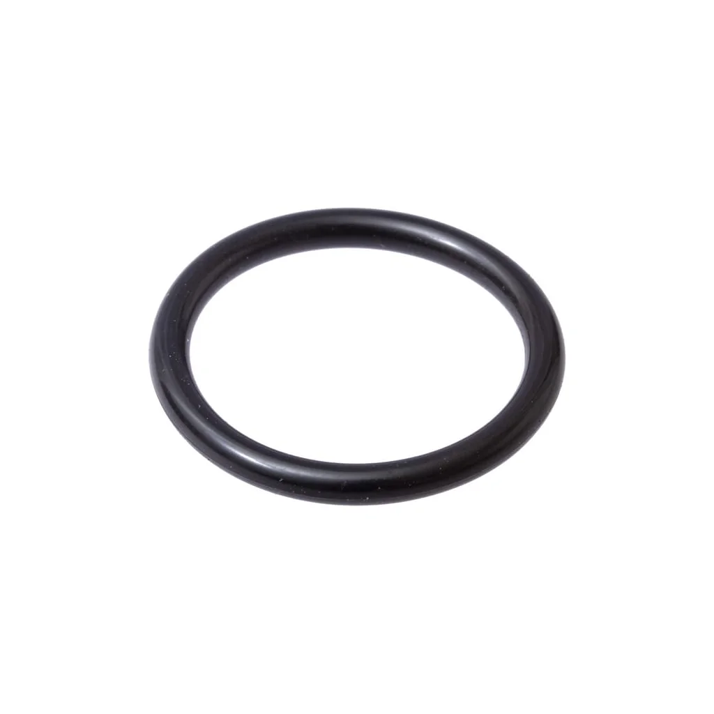 [AMAT2-66596] O-ring 14438085